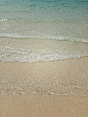 Tropik Cennet Sahili Tatil Dalgası