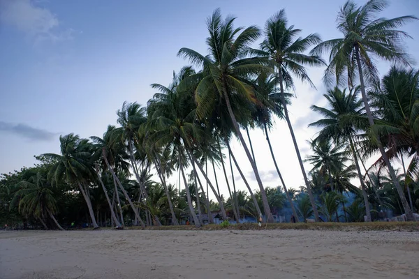 Кокосовий дзьоб пляж на заході сонця, літні сукні — стокове фото