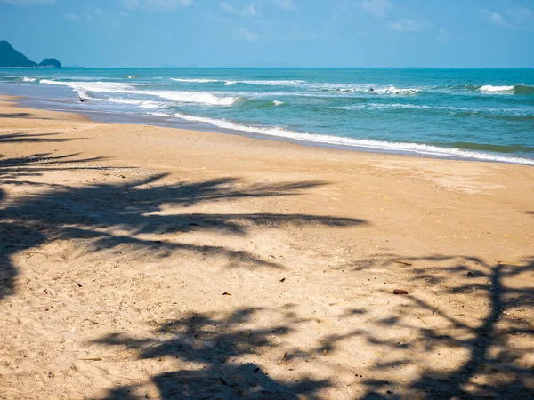 Pláž ve stínu stromu tropické pozadí design prapor oceán vlna — Stock fotografie