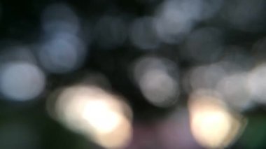 Parktaki ağaçtan bokeh saf arkaplan. Konu yok.