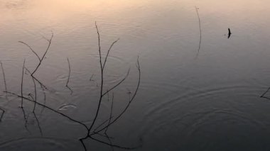 Gün batımında derin mavi su yüzeyinde dalgalanma. Tatil köyü için şaşırtıcı doğal rahatlama dokusu