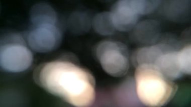 Parktaki ağaçtan gelen bokeh saf arka plan, konu yok. Yüksek kaliteli FullHD görüntüler