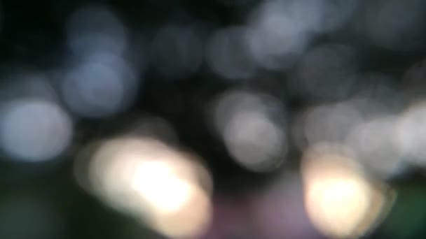 Bokeh Árvore Parque Fundo Puro Nenhum Sujeito Imagens Fullhd Alta — Vídeo de Stock