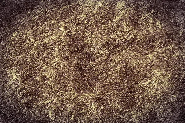 Texture Abstraite Herbe Texture Des Cheveux — Photo