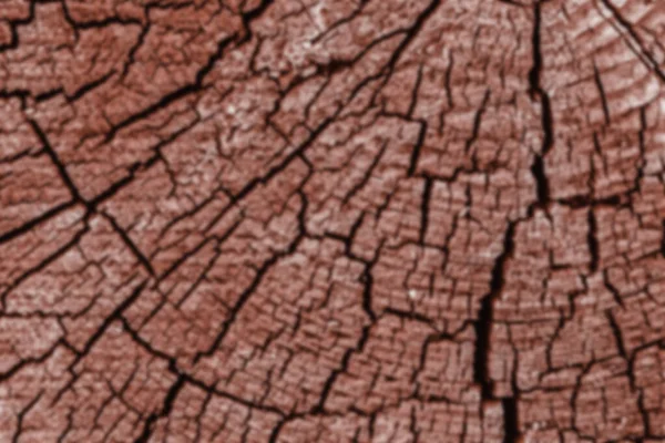 Bulanık Efektli Soyut Arkaplan Yumuşak Bulanık Arkaplan — Stok fotoğraf
