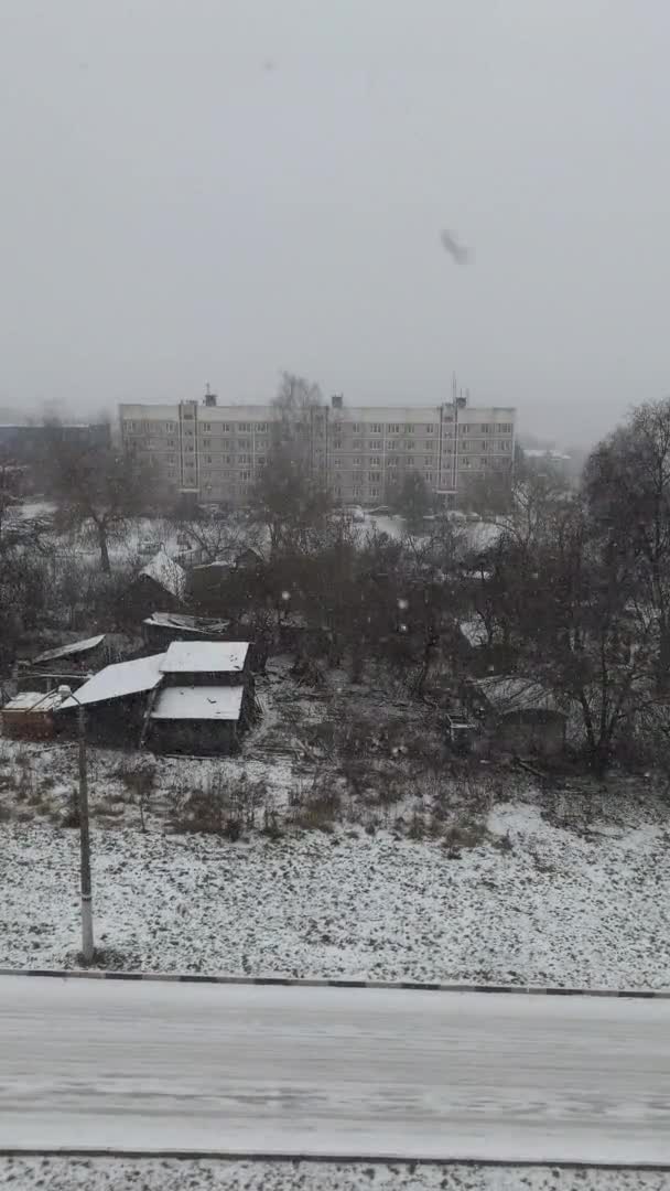 Paisaje invernal en el bosque — Vídeo de stock