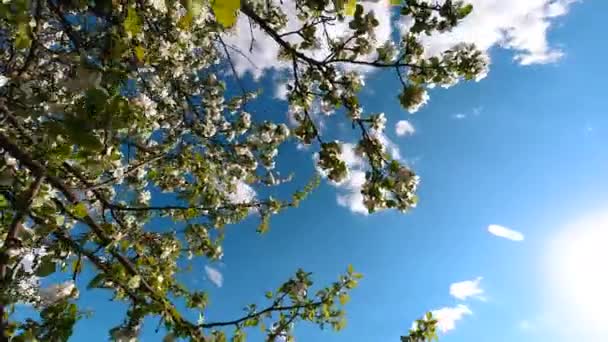 Gran naturaleza time-lapse del cielo — Vídeos de Stock