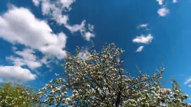 Grande nature time-lapse du ciel — Video