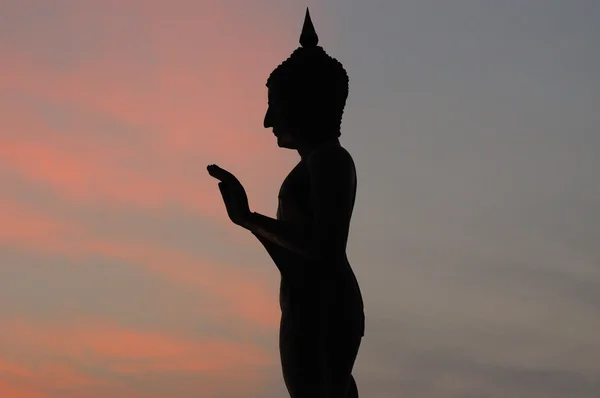 Boeddha stand na zonsondergang — Stockfoto