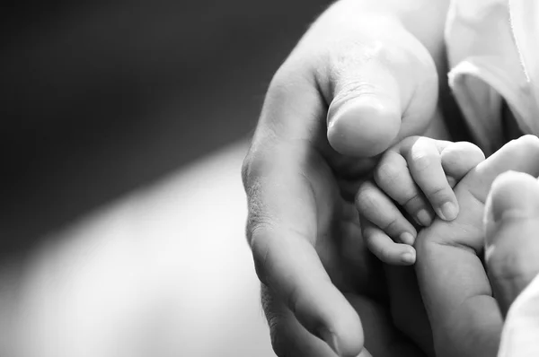 Mano de bebé suavemente sosteniendo dedo adulto — Foto de Stock