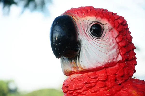 Красивый керамический попугай ждет — стоковое фото