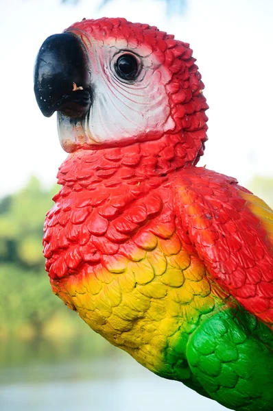 Ceramic Parrot bird — Stock Photo, Image