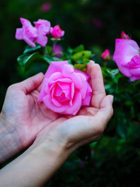 Ellerinde gül, elinde çiçek tutan kadın.