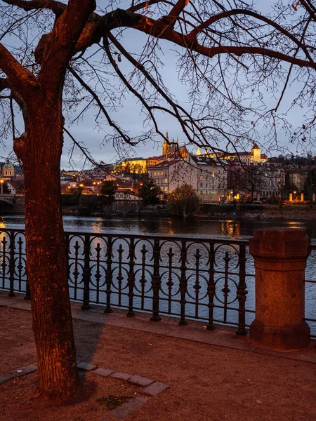 View Prague Castle Evening Park Vltava River — Stock Photo, Image
