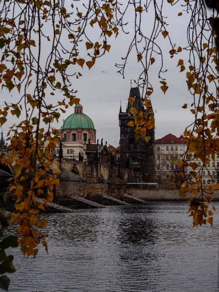 Näkymä Prahan Vanhaankaupunkiin Kampa Saarelta Vltava Joen Yli Syksyllä Illalla — kuvapankkivalokuva