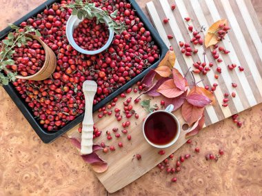 Bir tepside sulu gül kalçası hasat ve yakın plan gül kalçası çayı..