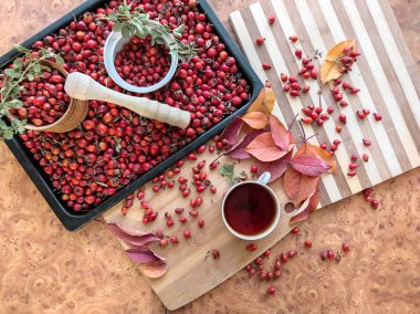 Bir tepside sulu gül kalçası hasat ve yakın plan gül kalçası çayı..