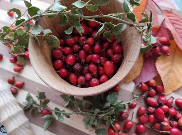 Harvest of juicy rose hips on a baking sheet and rose hip tea close-up.