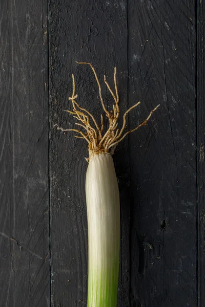 Sponsali Species Leek Apulia Italy Black Wooden Table — Stock Photo, Image