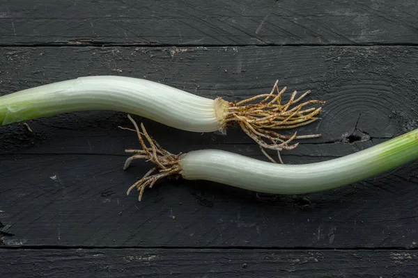 Sponsali Species Leek Apulia Italy Black Wooden Table — Stock Photo, Image