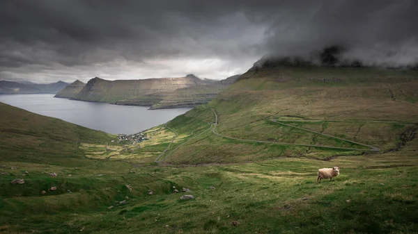 Paisagem Montanha Panorâmica Das Ilhas Faroé Com Ovelhas Frente Aldeia — Fotografia de Stock