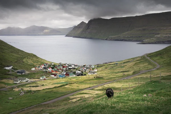Paysage Montagneux Des Îles Féroé Avec Moutons Devant Village Funningur — Photo