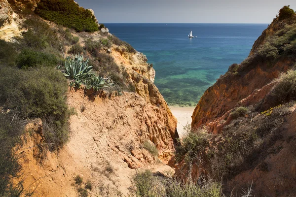 Costa com falésias em Lagos no Algarve em Portugal — Fotografia de Stock