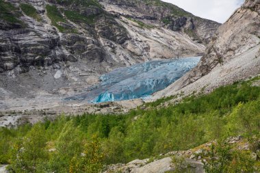 Mavi buzul Nigardsbreen Norveç'te