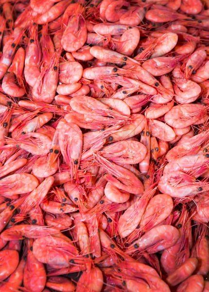 Many Shrimps on fish market — Stock Photo, Image