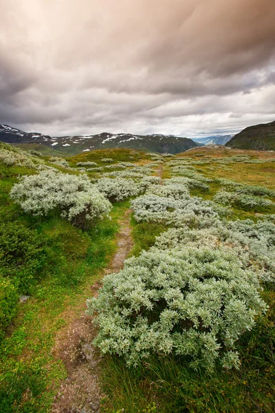 Krajobraz w Parku Narodowym Jotunheimen — Zdjęcie stockowe
