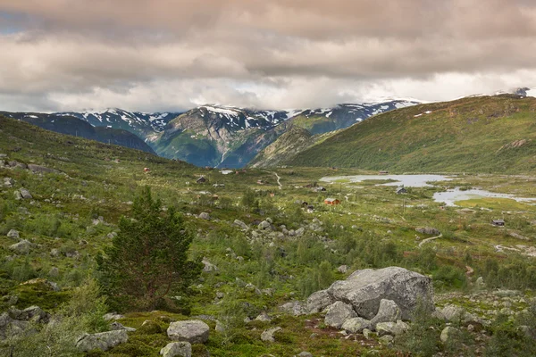 Krajobrazy Hardangervidda w pobliżu Odda — Zdjęcie stockowe