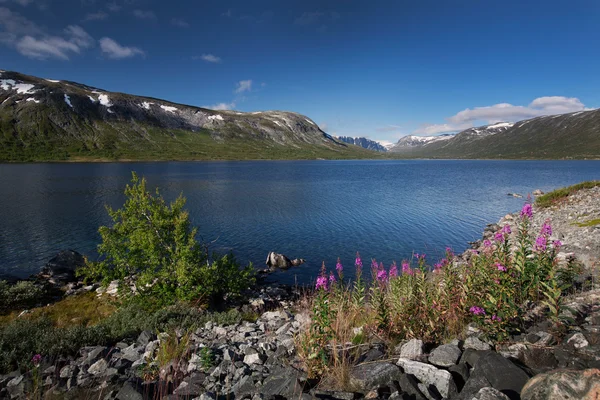 Diepblauwe lake Breiddalsvatnet in Noorwegen — Stockfoto