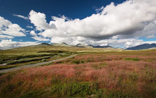 Rondane nationalpark med berg — Stockfoto