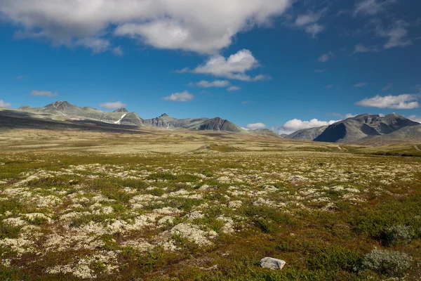 Parque Nacional Rondane con montañas —  Fotos de Stock