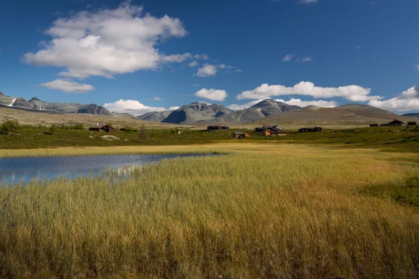 Parque Nacional Rondane con montañas y pantano —  Fotos de Stock