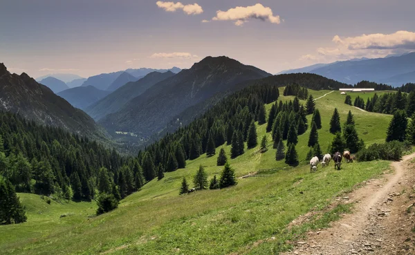 Horská krajina v Alpách poblíž Ponte Arche, Itálie — Stock fotografie