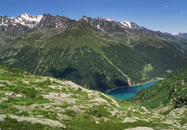 Bergsee lago di pian palu in den Alpen, Italien — Stockfoto