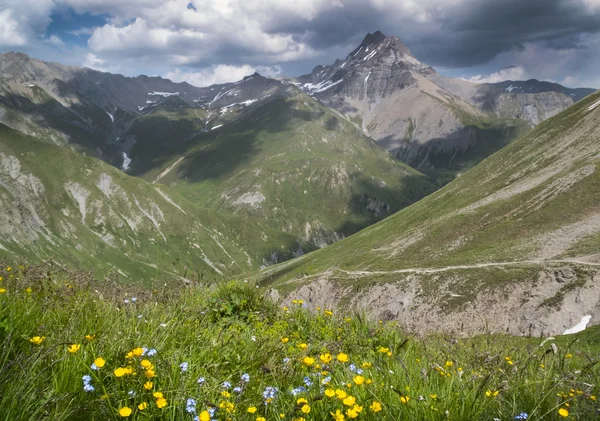 Góry w Alpach z kwiatów i chmury na Fimba przekazać — Zdjęcie stockowe