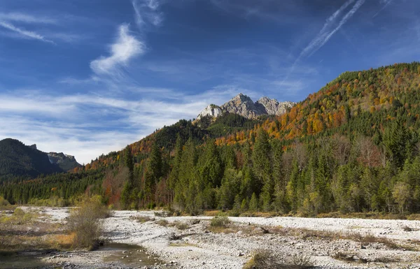 Sušené řečiště během podzimu v Rakousku — Stock fotografie