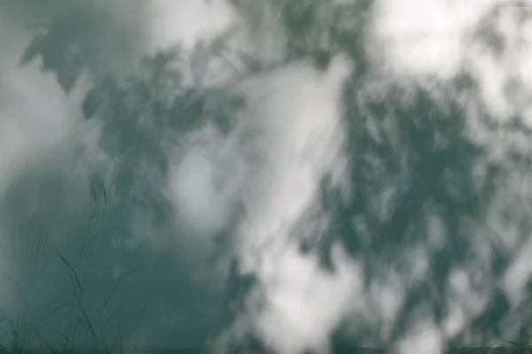 Абстрактное Художественное Изображение Тенями Листьев Стене Стоковое Фото