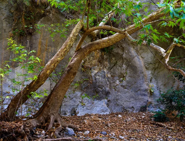 Jaskinia na Krecie — Zdjęcie stockowe