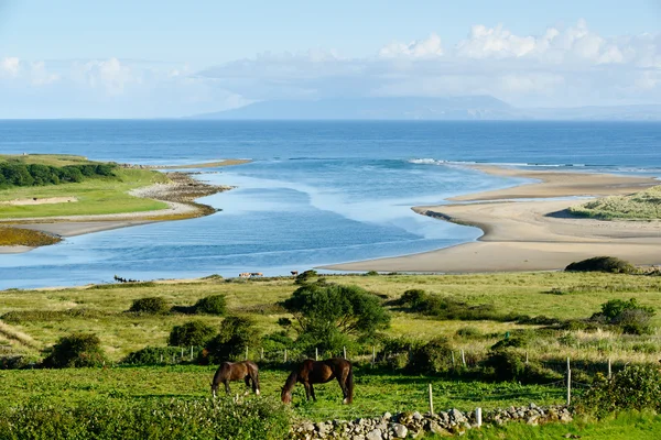 군 Sligo, 북아일랜드에서 말과 함께 아름 다운 풍경 로열티 프리 스톡 사진