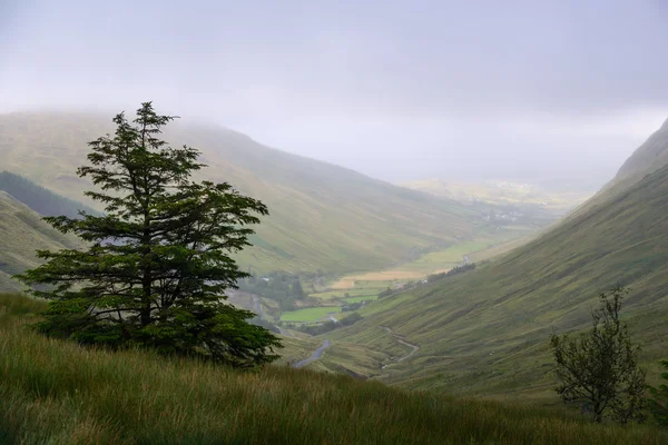 Misty Valley, Donegal, Irlanti — kuvapankkivalokuva