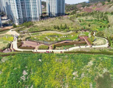 Oryukdo, Busan, Güney Kore, Asya 'daki Haemaji Parkı' nın Baharı.