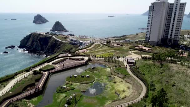 Primavera Del Parque Haemaji Oryukdo Busan Corea Del Sur Asia — Vídeos de Stock