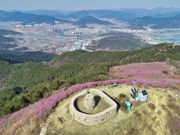 チョンナムサン山 ミヤン アジアに咲くアジサエラ — ストック写真