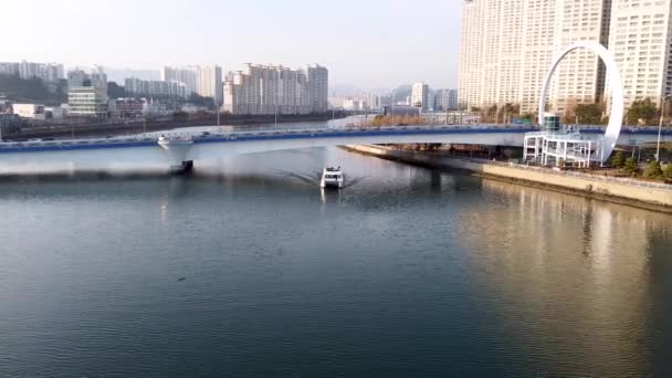 Flygfoto Över Haeundae River Cruise Busan Sydkorea Asien — Stockvideo