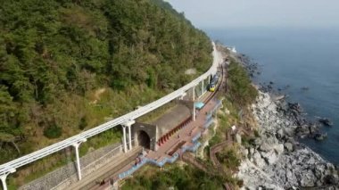 Haeundae Sahil Treni, Busan, Güney Kore, Asya.