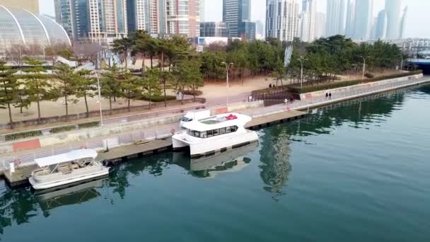 Haeundae Nehri Gezisi Nin Hava Görüntüsü Busan Güney Kore Asya — Stok video