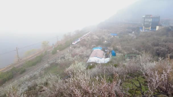 아시아 경남에 동마에와 마을에서 피우는 야만족 — 비디오